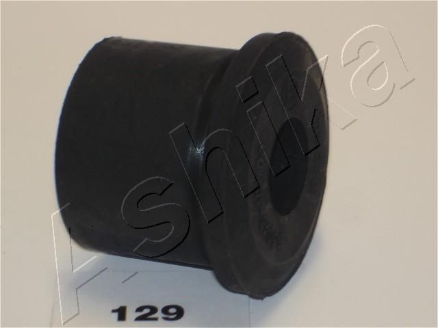 GOM-129_1.JPG
