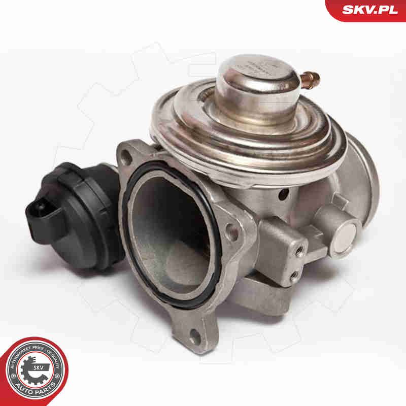 ESEN SKV 14SKV026 - EGR Valve