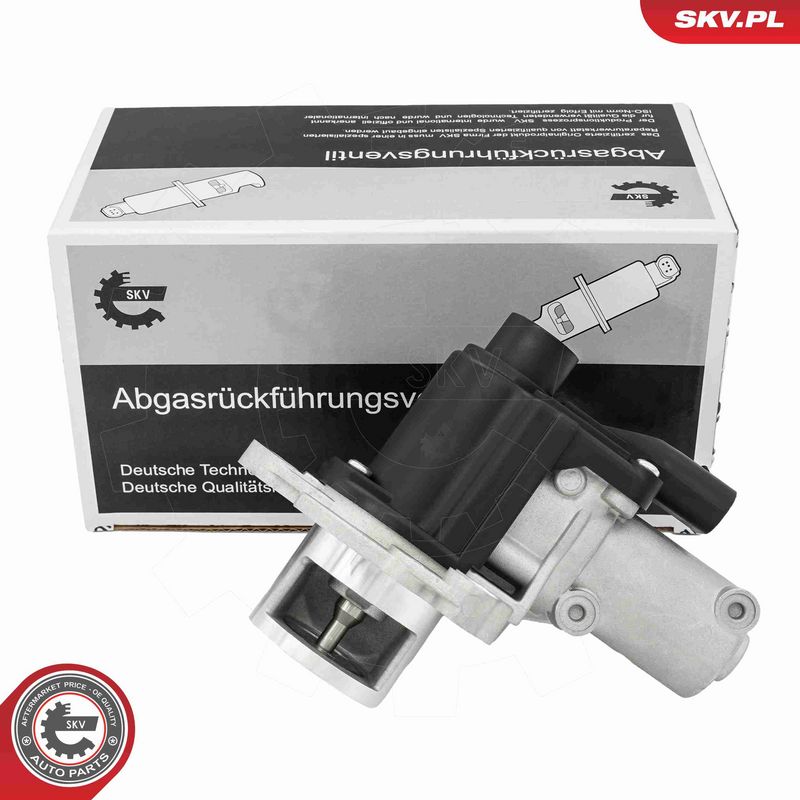 ESEN SKV 14SKV325 EGR Valve