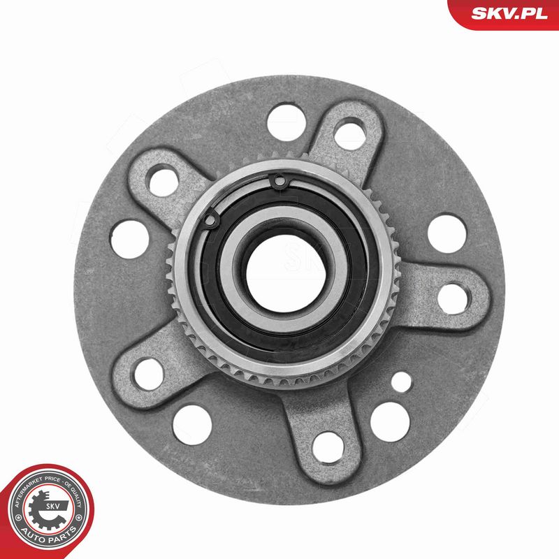 ESEN SKV 29SKV503 Wheel Bearing Kit