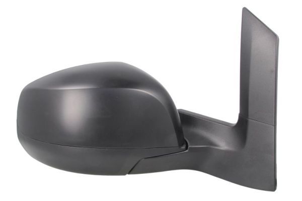 BLIC 5402-04-2001970P Exterior Mirror