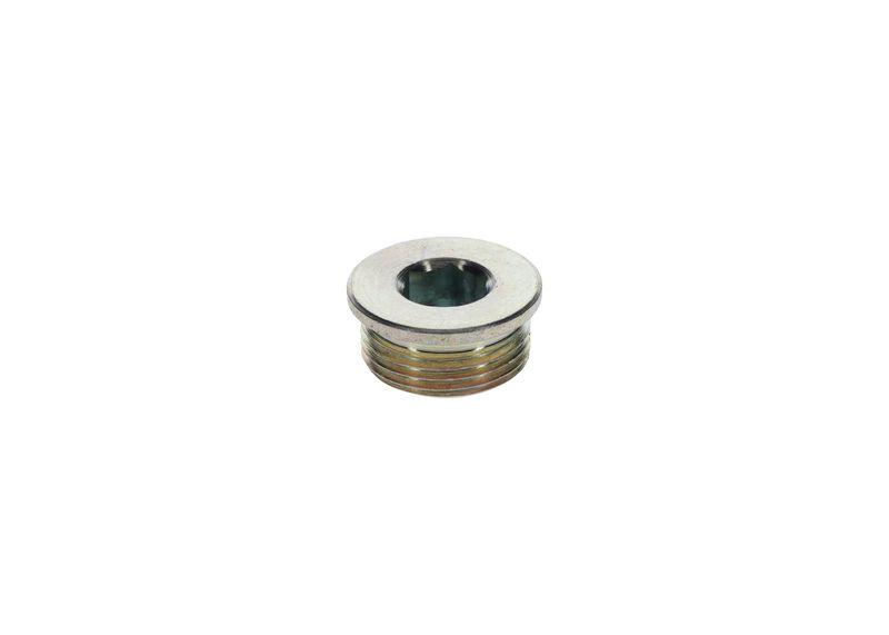 Surub 1 423 462 099 BOSCH