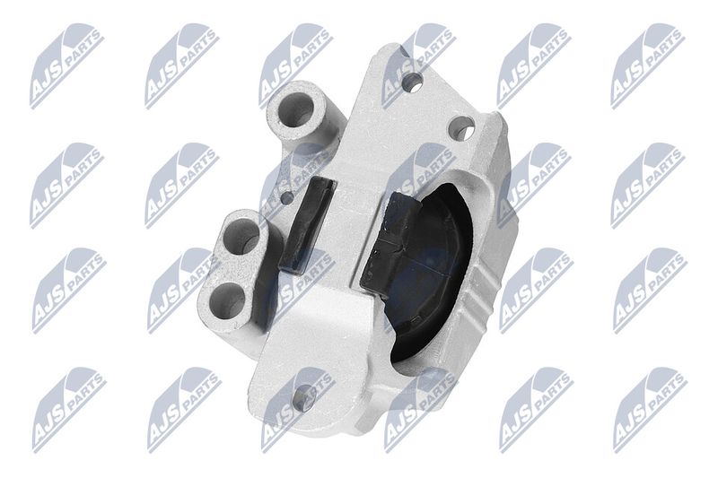 Paigutus, Mootor, NTY ZPS-CH-132