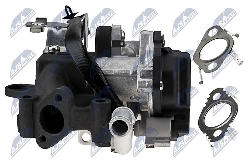 EGR-klapp, NTY EGR-WW-033
