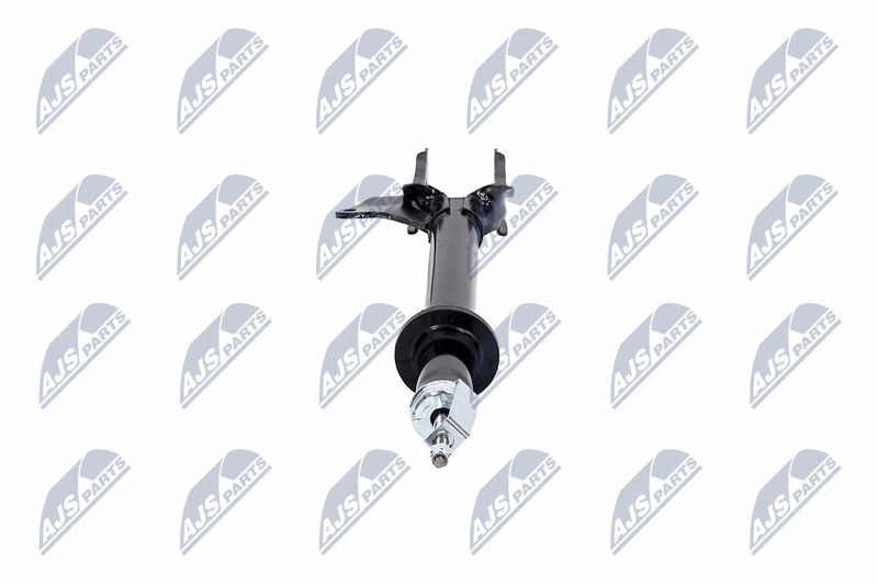 Amort, NTY A-CH-082