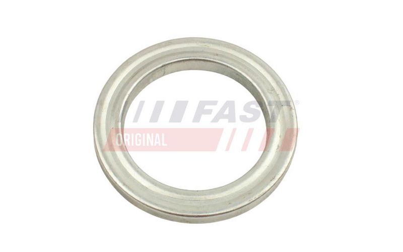 FAST FT12001 - Amortizatoriaus atraminis guolis