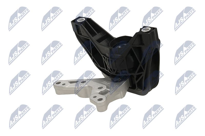 Paigutus, Mootor, NTY ZPS-PL-081