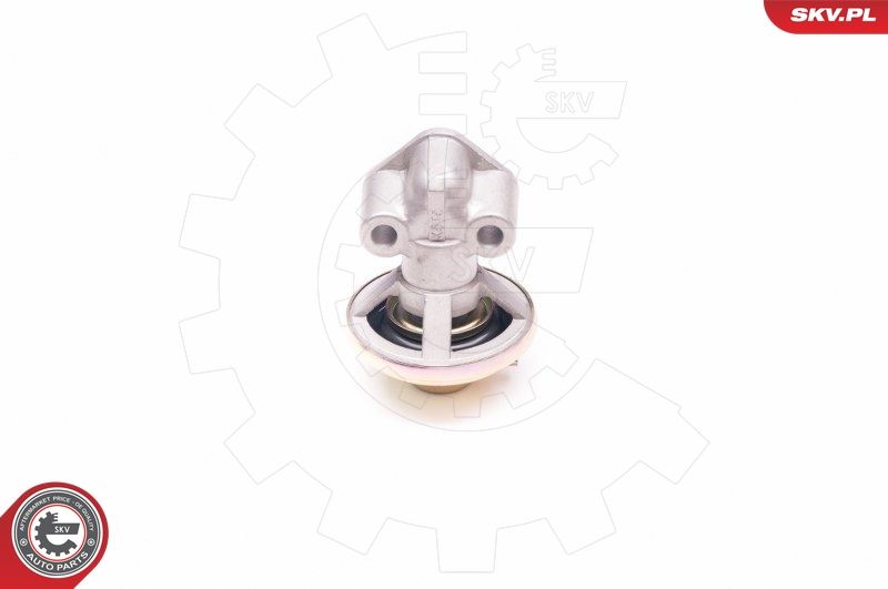 ESEN SKV 14SKV130 EGR Valve