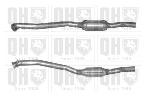 QH_QCAT90972H.JPG