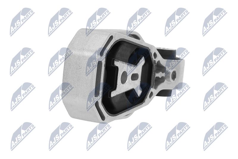 Paigutus, Mootor, NTY ZPS-ME-058