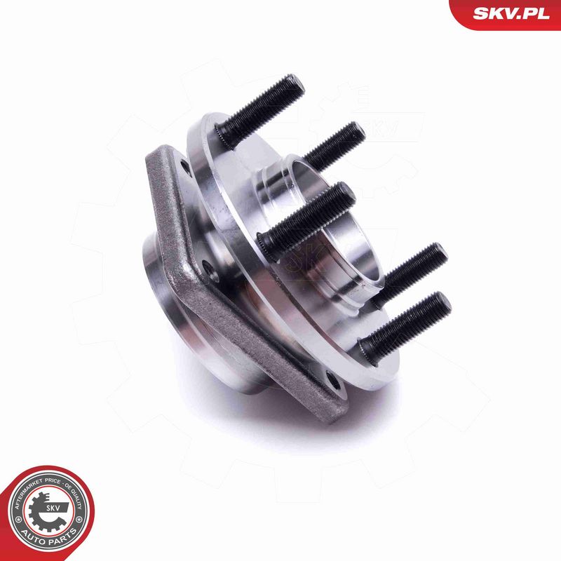 ESEN SKV 29SKV548 Wheel Bearing Kit