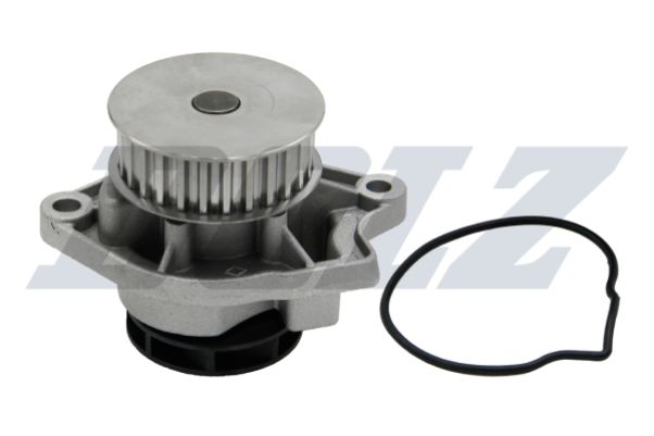 DOLZ A191 Water Pump, engine cooling
