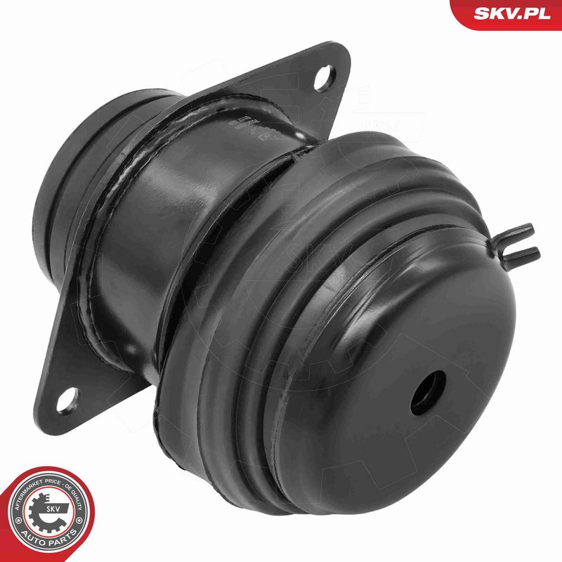 ESEN SKV 75SKV010 Mounting, engine