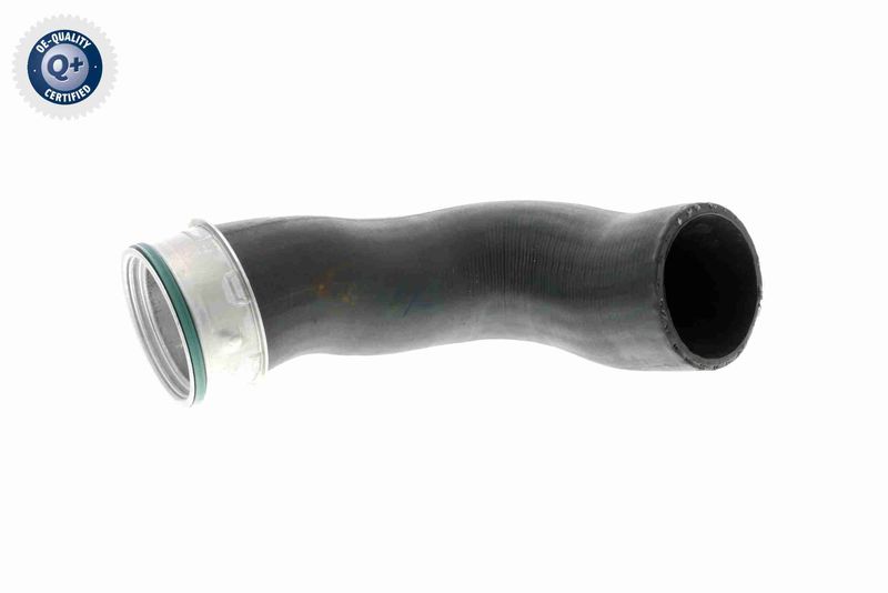 VAICO V10-3816 Charge Air Hose