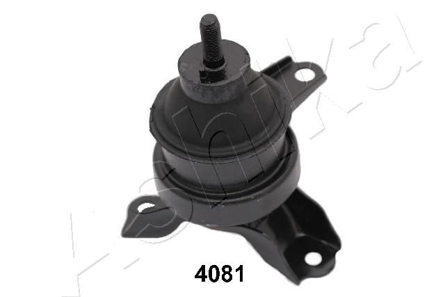 GOM-4081_1.JPG