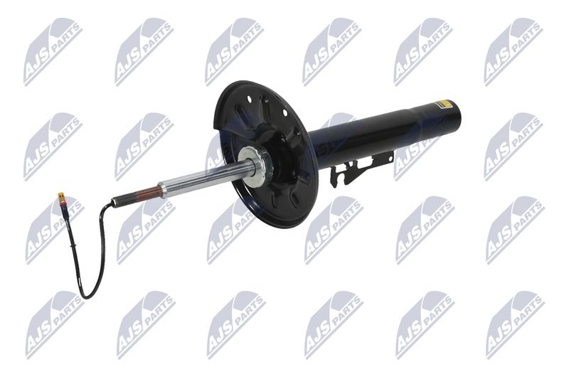 Amort, NTY A-PS-009