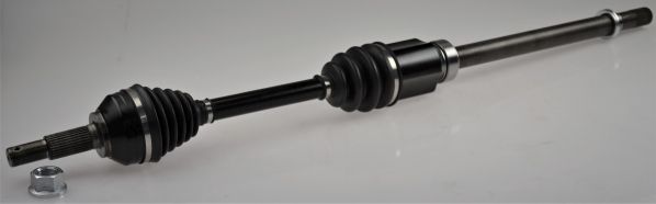 GKND12555A.JPG