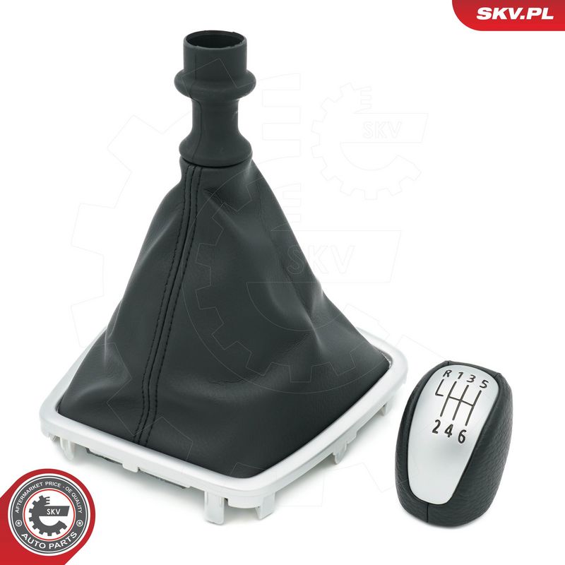 Käigukanginupp, ESEN SKV...