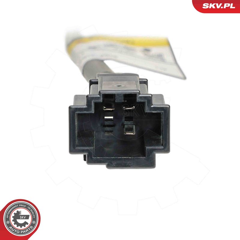 ESEN SKV 52SKV874 Electric Motor, tailgate