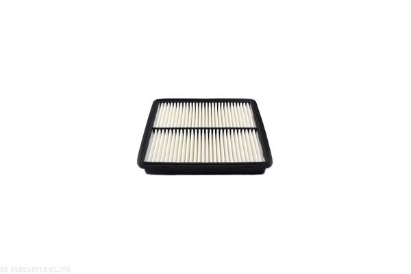 AUTOMEGA 250052710 Air Filter