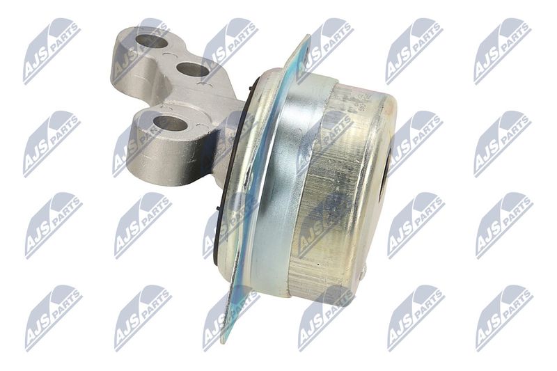 Paigutus, Mootor, NTY ZPS-PL-049