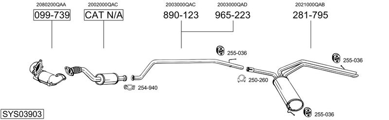 SYS03903.JPG