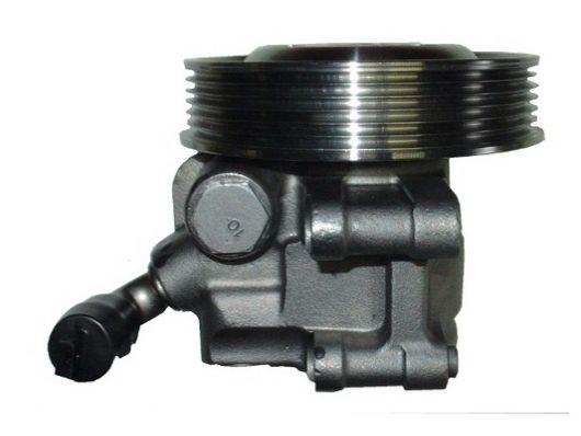 SPIDAN 53603 Hydraulic Pump, steering