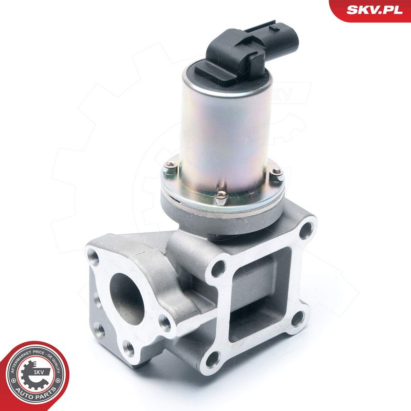 EGR-klapp, ESEN SKV 14SKV099
