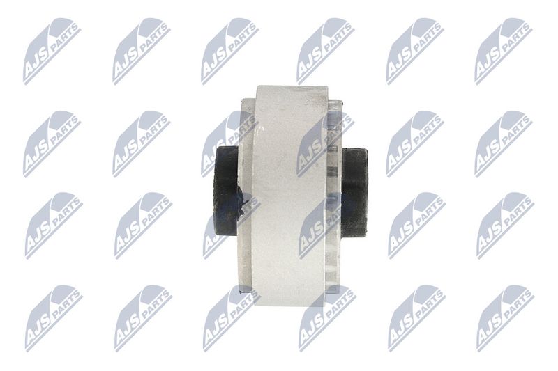 Paigutus, Mootor, NTY ZPS-BM-039