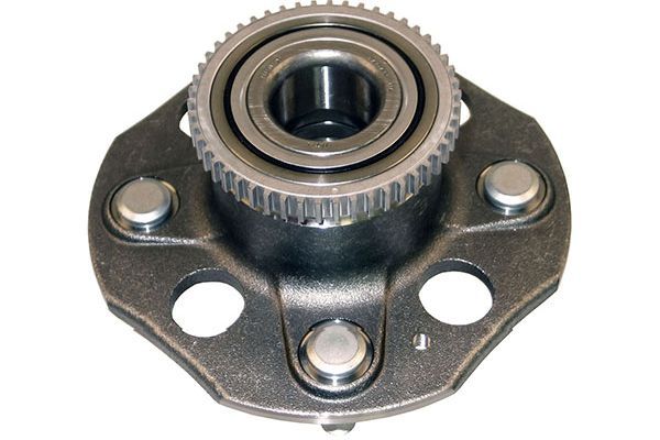 Kavo Parts Rato guolio komplektas