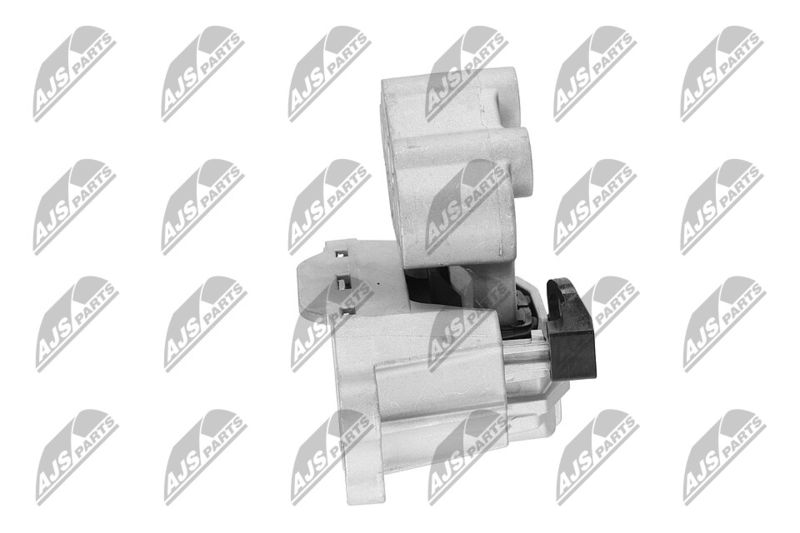 Paigutus, Mootor, NTY ZPS-CH-134