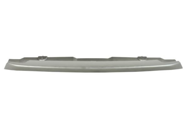 BLIC 6509-01-6456920P Trim/Protection Strip, bumper