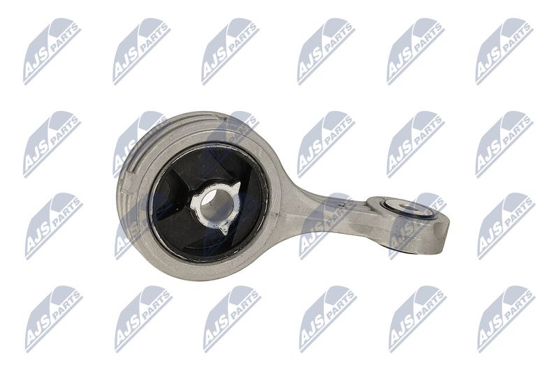 Paigutus, Mootor, NTY ZPS-FT-003