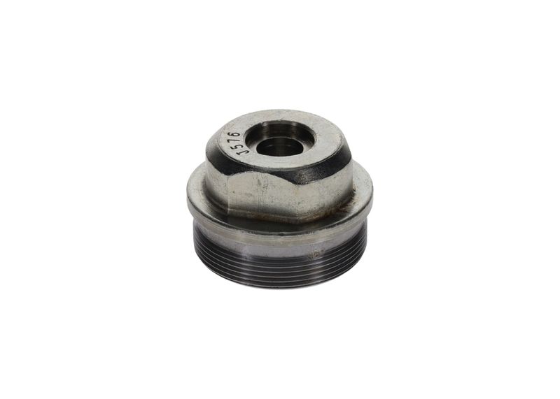 Surub F 002 D13 576 BOSCH