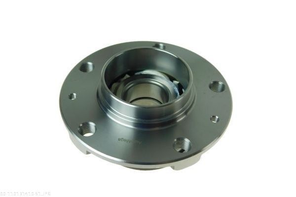 AUTOMEGA 110131410 Wheel Bearing Kit