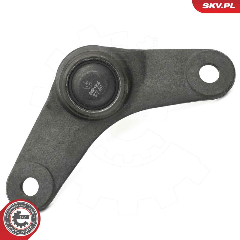 Kande-, juhtliigend, ESEN...