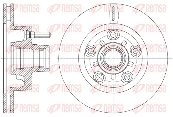 REM62020-10-MODEL.BMP