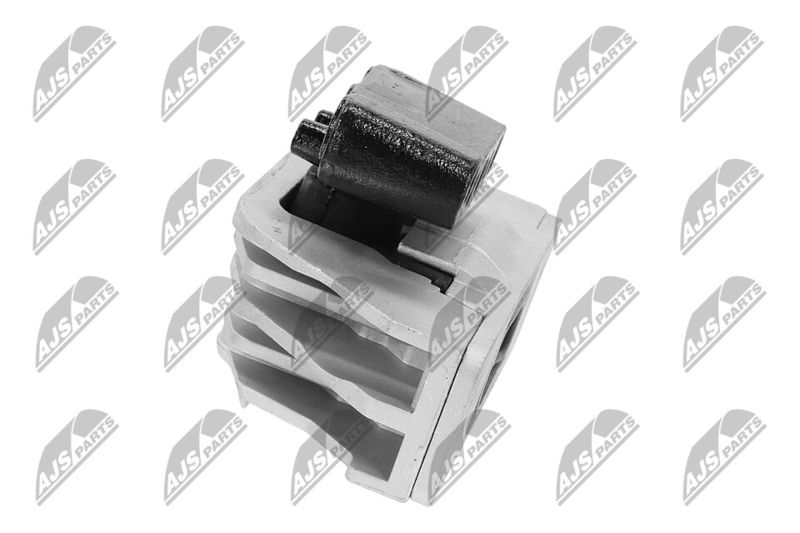 Paigutus, Mootor, NTY ZPS-CH-103