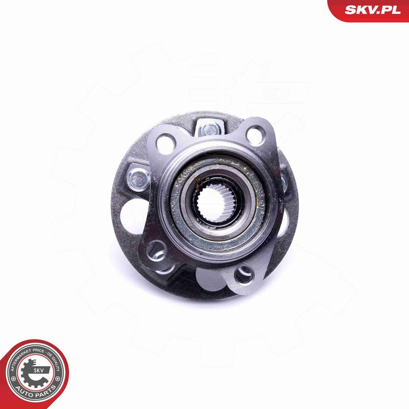 ESEN SKV 29SKV392 Wheel Bearing Kit