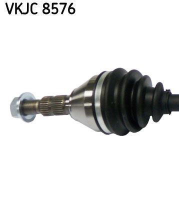 VKJC 8576_2.JPG