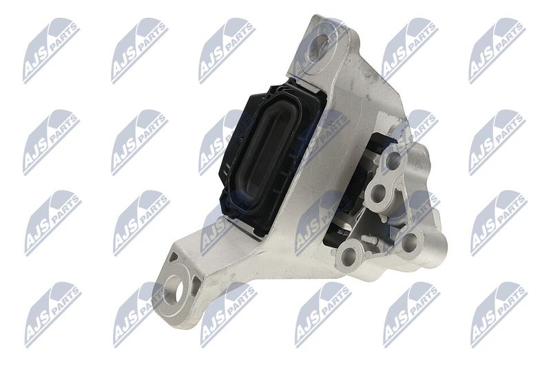 Paigutus, Mootor, NTY ZPS-FR-069