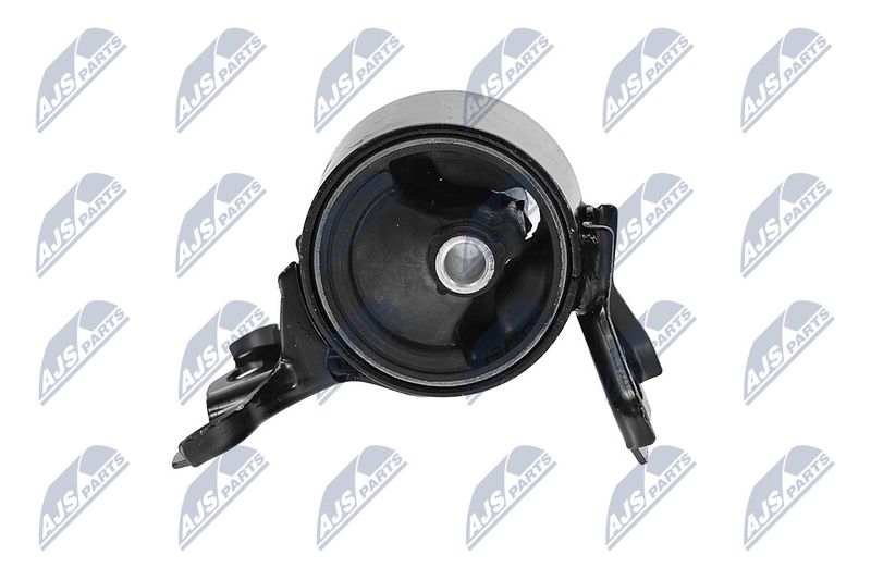 Paigutus, Mootor, NTY ZPS-CH-179