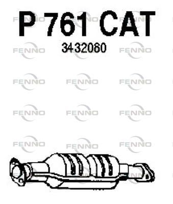 P761CAT.JPG