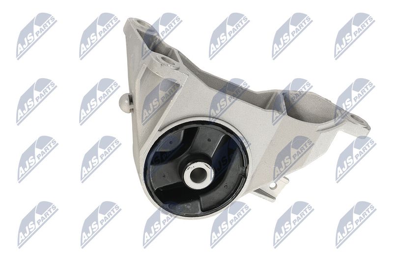 Paigutus, Mootor, NTY ZPS-PL-039