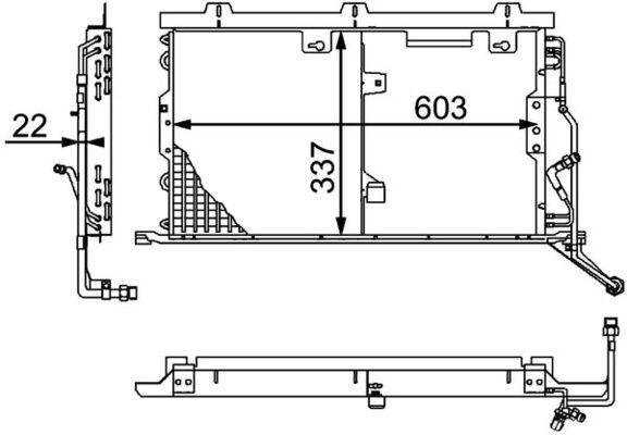 293212454.JPG