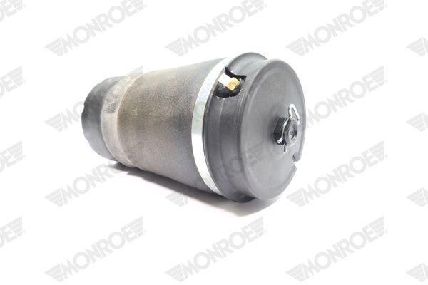 MONROE ASP038 Air Spring, suspension