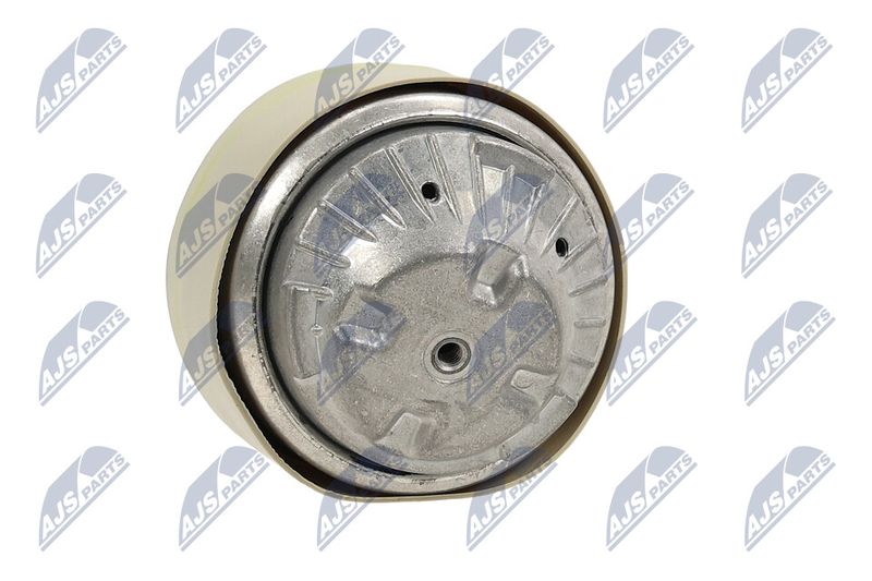 Paigutus, Mootor, NTY ZPS-ME-101