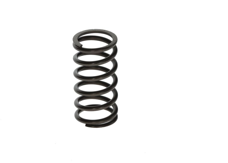 BOSCH F00N201853 Spring