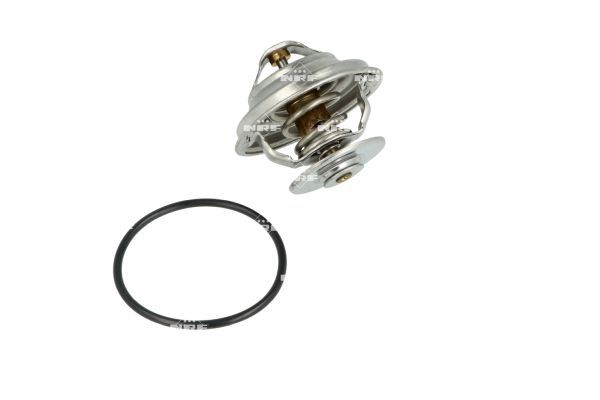 Termostat, chladivo 725101