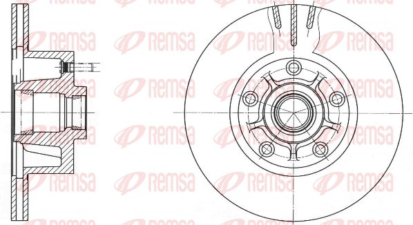 REM61731-10-MODEL.BMP